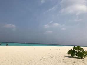 马尔代夫玛娜法鲁岛旅游一次浪漫的海滩度假之旅