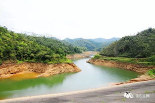 春天,翻越西山到沙湖