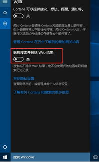 win10搜索显示搜索内容