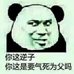 老子名叫赵日天的介绍 