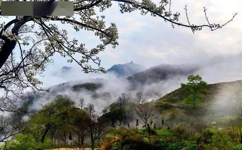 济源十大著名旅游景点,济源市十大旅游景点