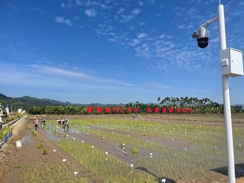 海南大学自考2022年,海南省2022年专升本招生考试有关事项的公告(图4)