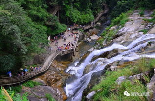 福利来了 梁野山景区每月2000张门票免费送 