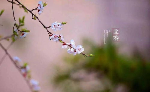 立春时节,饮食起居还需多注意