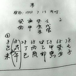 农历1993年7月13日20时的八字是怎样的