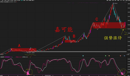 行情反弹初期哪些股票容易涨停，有先兆吗