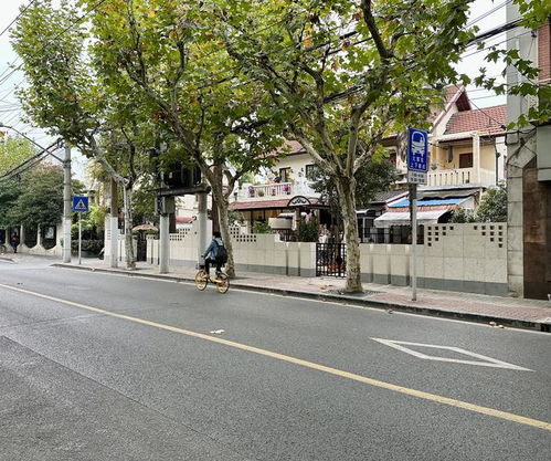 静安寺街道匠心打造城市基层高效能治理样板