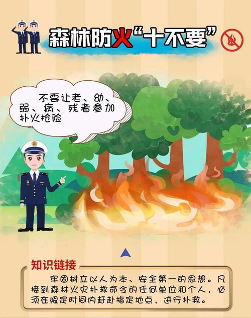 谨记 森林防火 十不要 迎江区农业农村局 安庆市信息公开专栏 