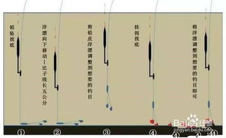 带饵调漂的正确方法 