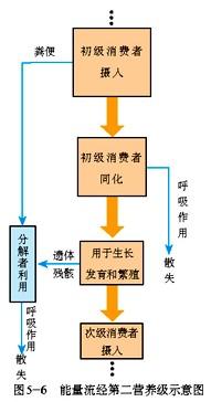 什么是概念同化