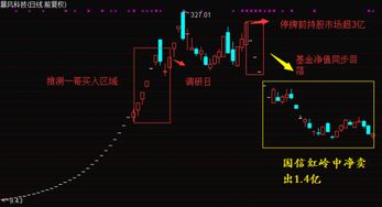 王亚伟重仓暴风科技过程复盘 尚难判断盈亏