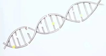 英国科学漫画 怎样打败BRCA基因突变