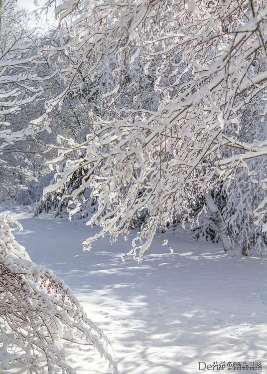 12个雪景摄影技巧 如何拍摄神奇的雪景