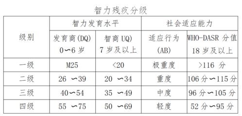 残疾分级怎么分 系列二