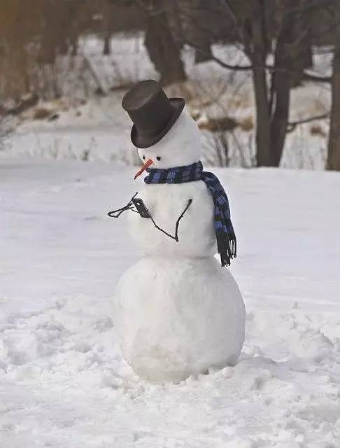 2018年第一场雪,设计师堆雪人攻略 