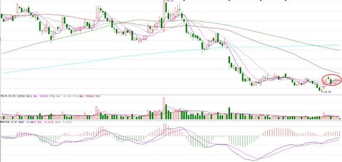 LTC的价格会飙升、ltc币的前景怎么样