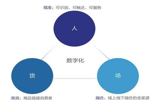 大智慧36510字光标不显数字怎样设定