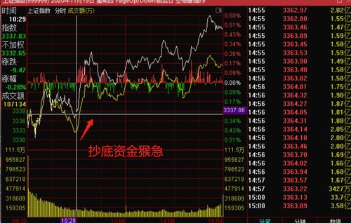 缩量上涨、缩量下跌、放量上涨、放量下跌、高位放量和底位放量各有什么不同，遇到这情况如何操作，请友友全面分析一下以上问题！先谢