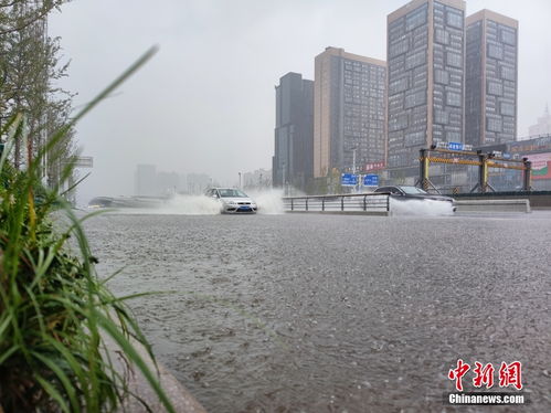 郑州暴雨来袭是怎么回事,关于郑州暴雨来袭瞬间的新消息 多特软件资讯 