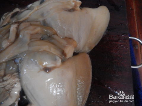 河蚌的吃法(河蚌怎么做好吃 河蚌的4种吃法)
