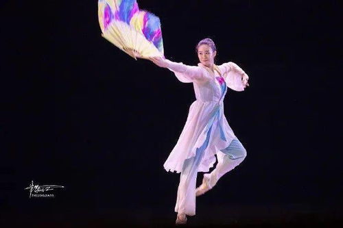 2020中关村舞剧节 青年舞蹈家专场 精彩图片