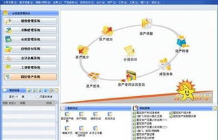 神州数码ERP Since1982是什么东东？说明书上全是英文，我英语二级勉强过啊！！！