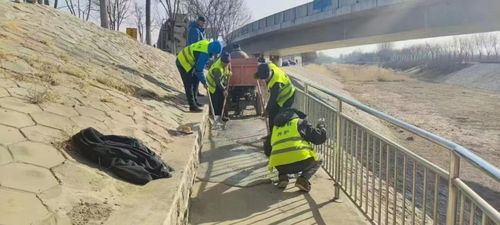 刺猬河边路平了 灯亮了,八名跑友当了 市民河长