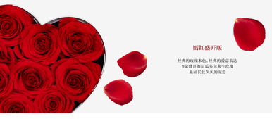 roseonly红色心形永生花 永生花多少钱 roseonly永生花价格 roseonly官网 