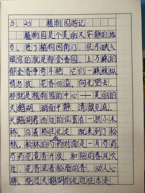 描写游记的词语解释,什么叫游记？