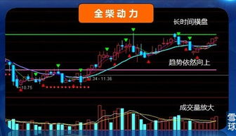 中虹股票财经网讲二线蓝筹有哪些公司