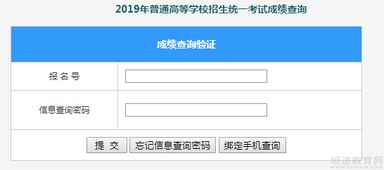 **报名信息如何查询档案状态变化？