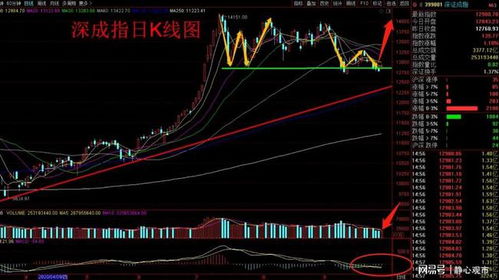 股市收评 指数初现复合双底结构,主力反复诱多诱空如何应对