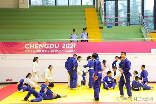 成都大运会共设几个比赛项目(甘孜州第四届运动会柔道比赛)