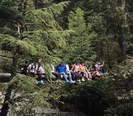 乐极生悲 云南14名大学生独木桥拍照坠入激流, 转过弯就是瀑布