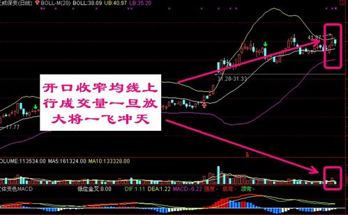 布林线上线和中线向上，下线下跌说明什么