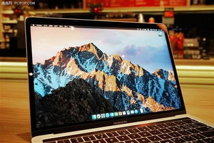 本人是苹果迷，一朋友在我鼓动下也去买了部macbook pro，可他的目的是炒股和炒金，这好像在苹果系统进行不