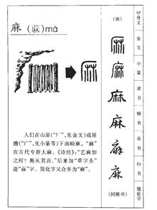 侈怎么读拼音?侈的笔顺怎么写?部首、笔画、繁体简介?侈的意思是什么