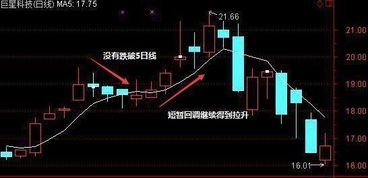 股市的5日均线怎么看