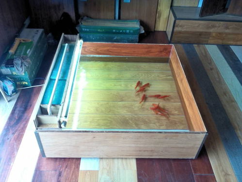 马德兰地板 能做成鱼缸养鱼的防水木地板,你见过么