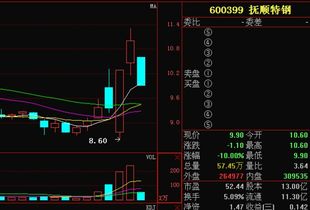 请问大家600399 抚顺特钢，这只股票怎么样？