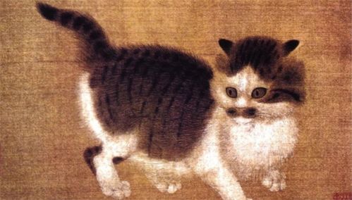 猫的简史 谁养了第一只家猫 人类为什么要养猫
