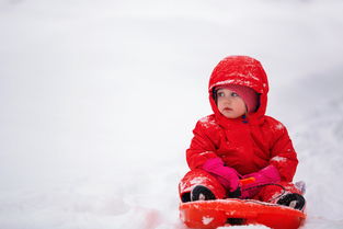 雪中的童话——一场下雪的故事，下雪的故事幼儿