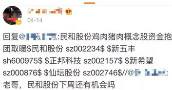 衡南警方抓获一网络股神追回20万元