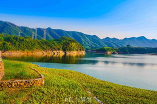 春风知我意,吹梦到狮城