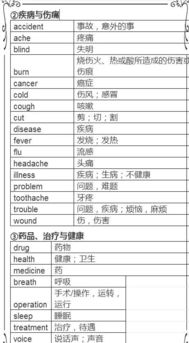 初中就1600个必考单词 熟记这些,英语分数不高都难