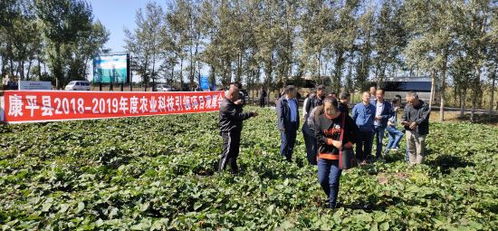 辽宁沈阳康平方家屯镇