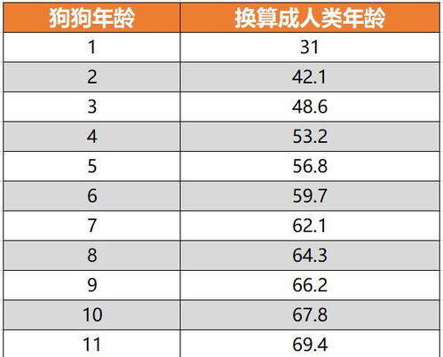 狗一岁相当于人类几岁 这项研究终于搞清楚了,还附带了计算器