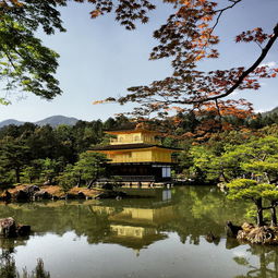 蓝山塔下寺，古韵犹存，静谧悠然，蓝山塔下寺作文450字