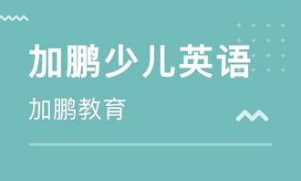 沈阳于洪区早教课程培训班 沈阳于洪区早教课程辅导班 培训班排名 