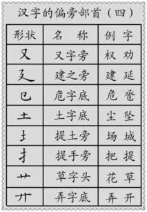 小学语文 汉字的偏旁部首 分类讲解 